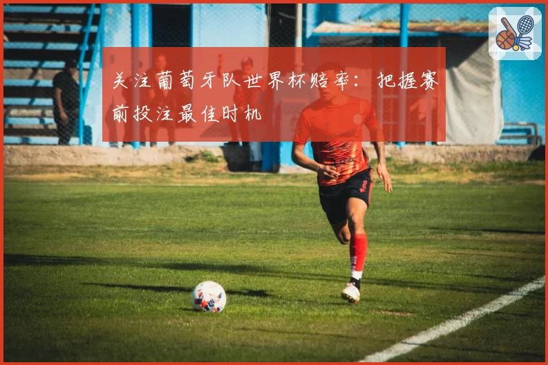 关注葡萄牙队世界杯赔率：把握赛前投注最佳时机