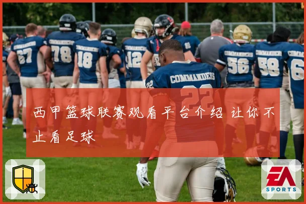 西甲篮球联赛观看平台介绍 让你不止看足球