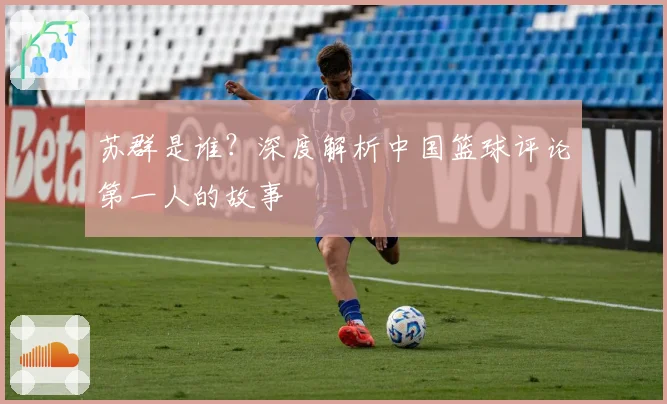 苏群是谁？深度解析中国篮球评论第一人的故事
