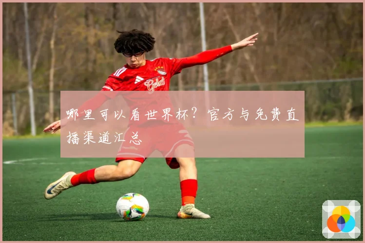 哪里可以看世界杯？官方与免费直播渠道汇总