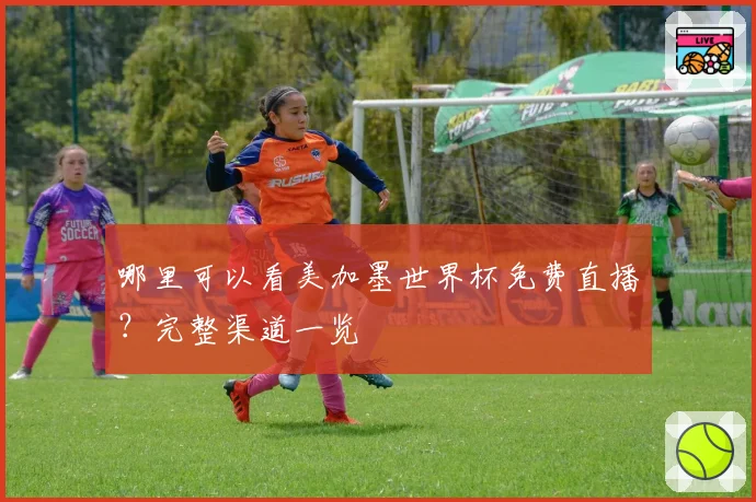 哪里可以看美加墨世界杯免费直播？完整渠道一览