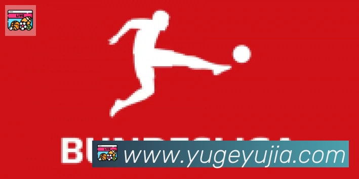 爱游戏ayx合作伙伴